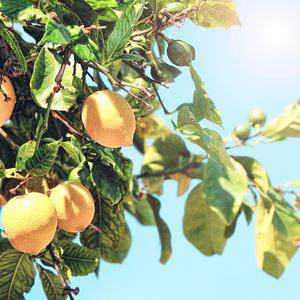 全黄做爰100分钟视频
